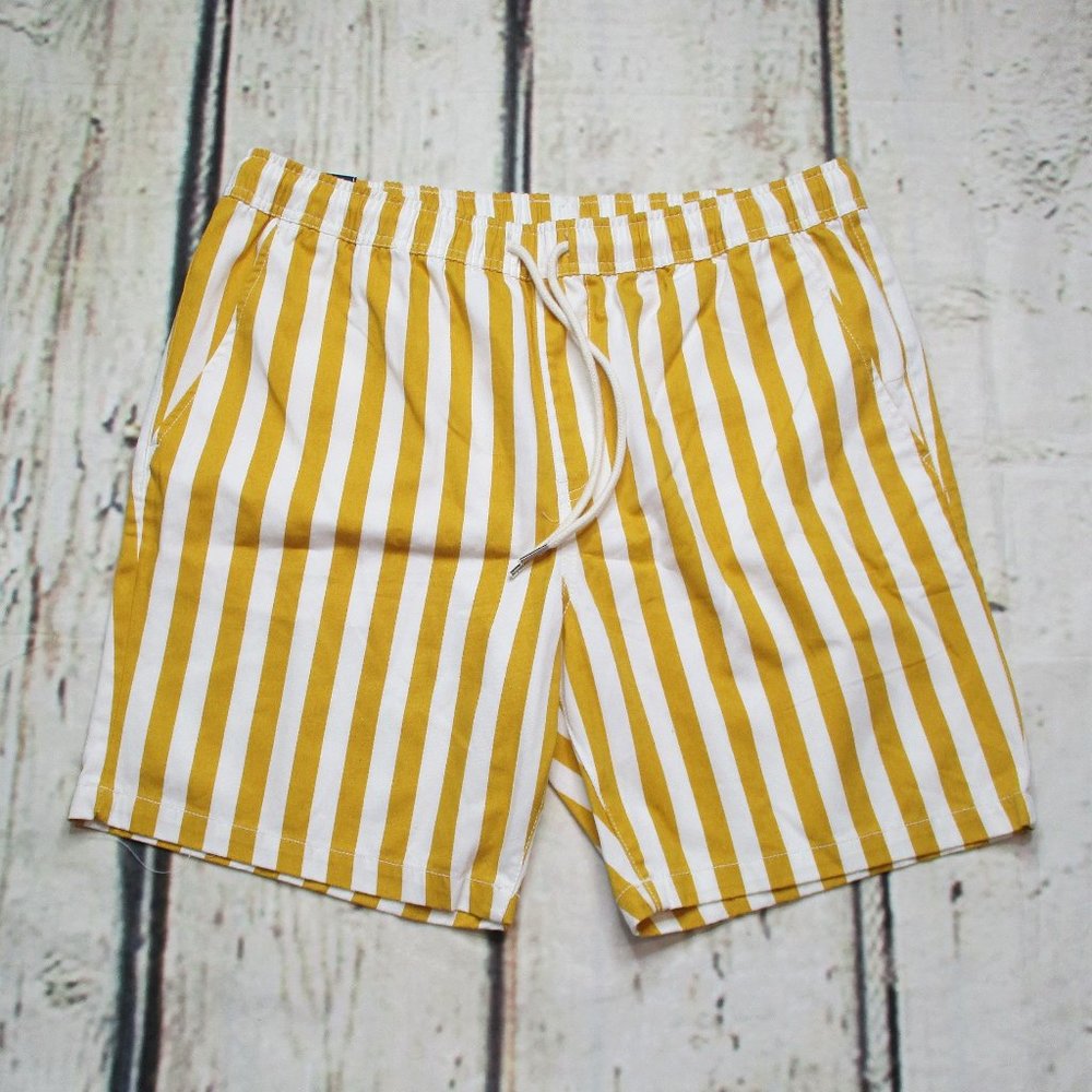 Forever 21 Pull On Woven Stripe Shorts